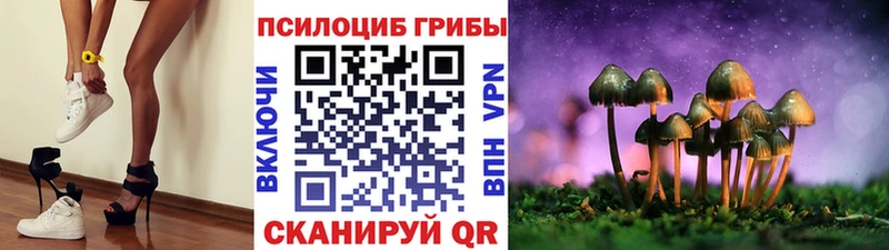 купить   Комсомольск  Псилоцибиновые грибы Psilocybe 