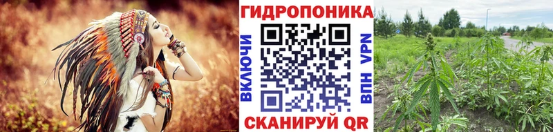 Бошки марихуана Amnesia  mega вход  Комсомольск  купить  цена 